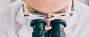 cutting-edge research on diet and menopause